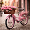 Pink bike wallpaper logo