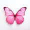 pink butterfly wallpaper logo