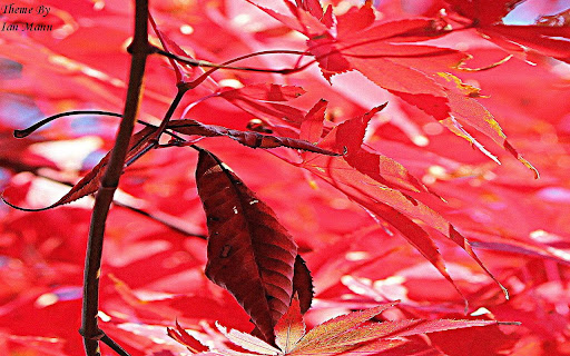 Pink Forrest screenshot 1