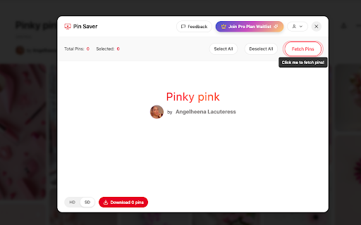 Pinsaver screenshot 1