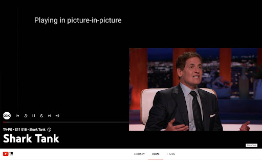 PiP Unblocker screenshot 1