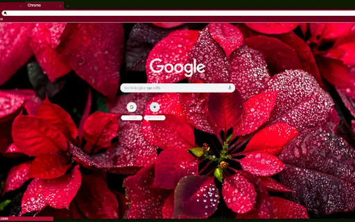 Poinsettia screenshot 1