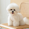 Poodle Dog Wallpaper logo