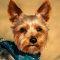 Portrait of Yorkshire Terrier logo