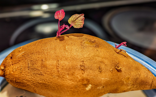 Potato tubers and purple sprouts screenshot 1