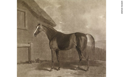 Potoooooooo screenshot 1