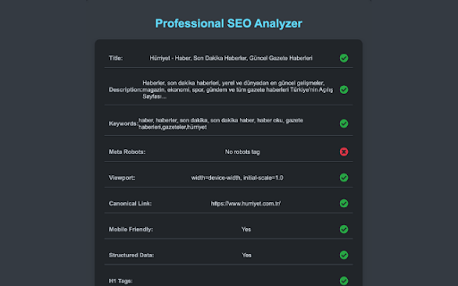 Professional SEO Analyzer screenshot 1