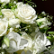 Pure white flower bouquet logo