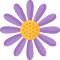 Purple Aster Bloom logo