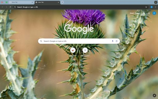 purple flowers screenshot 1