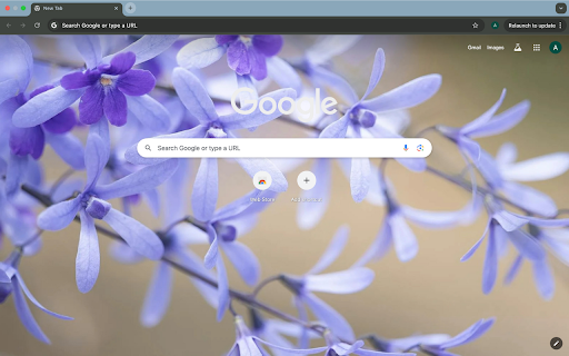 purple flowers screenshot 1