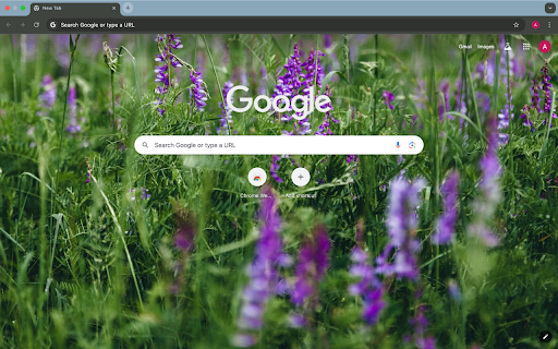 purple grass screenshot 1