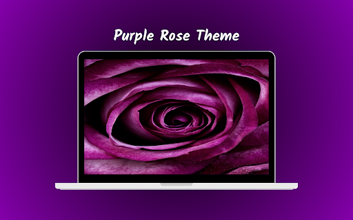 Purple Rose Theme screenshot 1