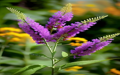 Purple willow wallpaper screenshot 1