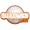 qualweb-extension logo