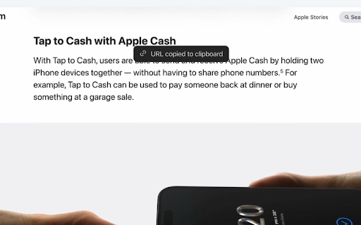 Quick Copy Link screenshot 1