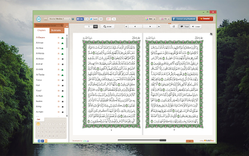 Quran Flash screenshot 1