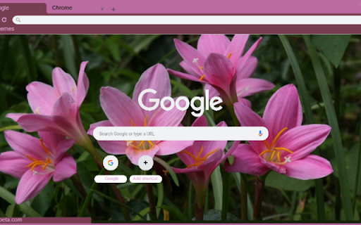 Rain Lily Pink screenshot 1