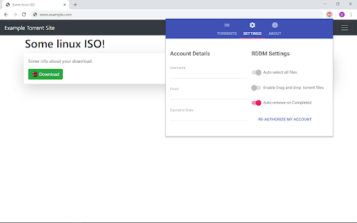 Real Debrid Download Manager screenshot 1