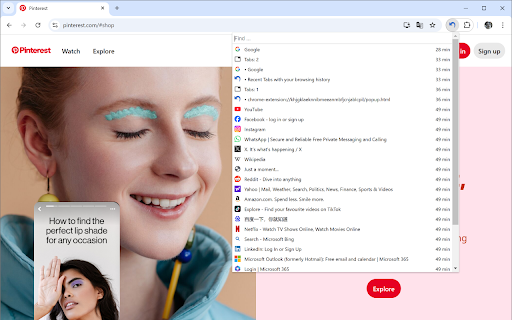 Recent Tabs with your browsing history screenshot 1