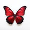 red butterfly wallpaper black border logo