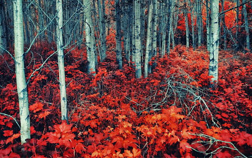 Red Leaf Forest screenshot 1