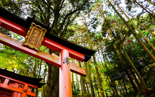 Red Pagoda of a Temple in Kyoto screenshot 1