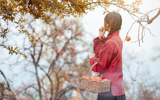 Red shirt girl and fruit basket screenshot 1