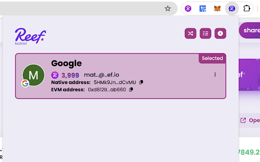 Reef Easy Social Account Extension screenshot 1