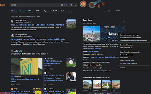 Reintroduce Google Maps links in Search screenshot 1