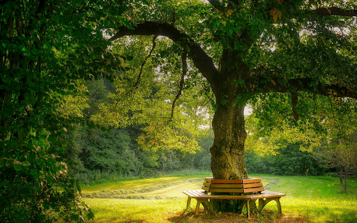 Relaxing green park screenshot 1