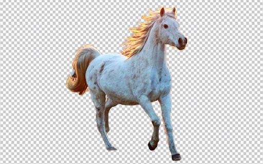 Remove Backgound online free screenshot 1