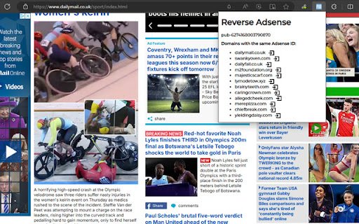 Reverse Adsense screenshot 1