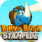 Rhino Rush Stampede Game - Smash Obstacles and Upgrade Your Rhino! logo