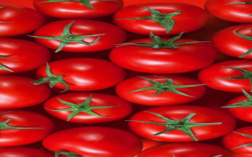 Ripe red tomatoes Wallpaper screenshot 1