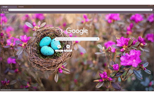 Robins Nest Spring screenshot 1