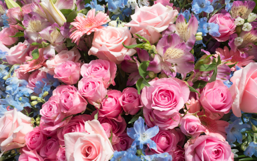 Rose Garden in the Sun: A Blooming Symphony of Colors screenshot 1