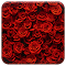 Rosy Red Roses logo