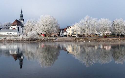 Row of trees along the lake screenshot 1