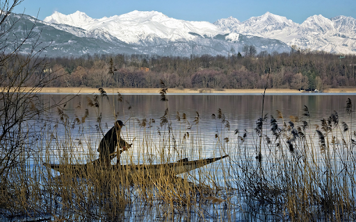 Rowing on the river screenshot 1