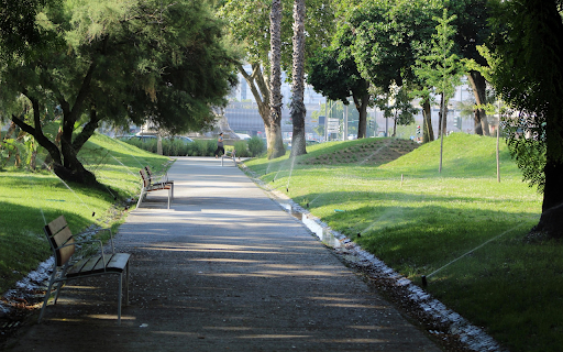 Rows of green park benches screenshot 1