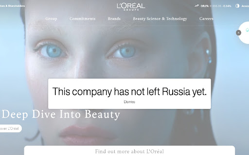 Russia Company Checker screenshot 1