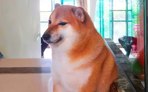 Sad Dog screenshot 1