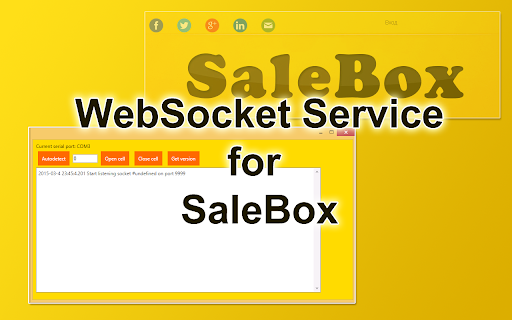 SaleBox WebSocket server screenshot 1
