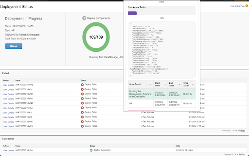 Salesforce Metadata Deploy Status screenshot 1