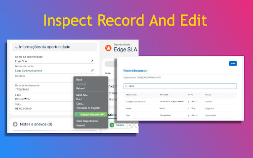 Salesforce Utils screenshot 1