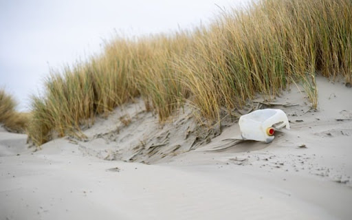 SAND DUNES THEME screenshot 1