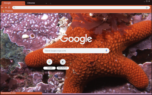 Sao Bien screenshot 1