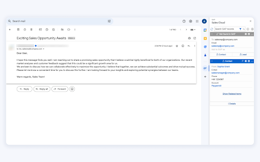 SAP Sales Cloud for Gmail screenshot 1