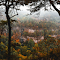 Scenic Autumn Forest with Misty Mountain View logo